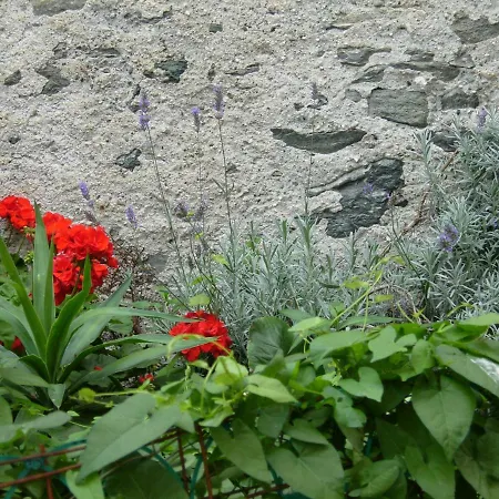 Martorey Cir 10 Appartamento