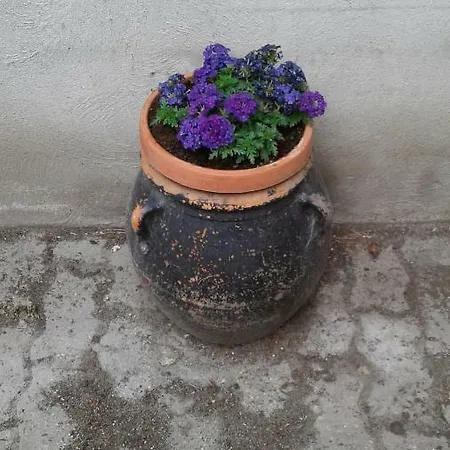 Martorey Cir 10 Апартаменты