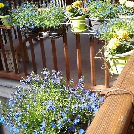 Martorey Cir 10 Апартаменты